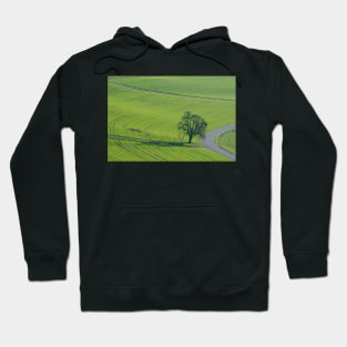 A Field A Road A Tree Hoodie